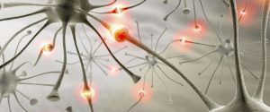 cancer-biodescodificacion-biologica